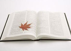 摩纳哥客场挑战南特，追求客场胜利