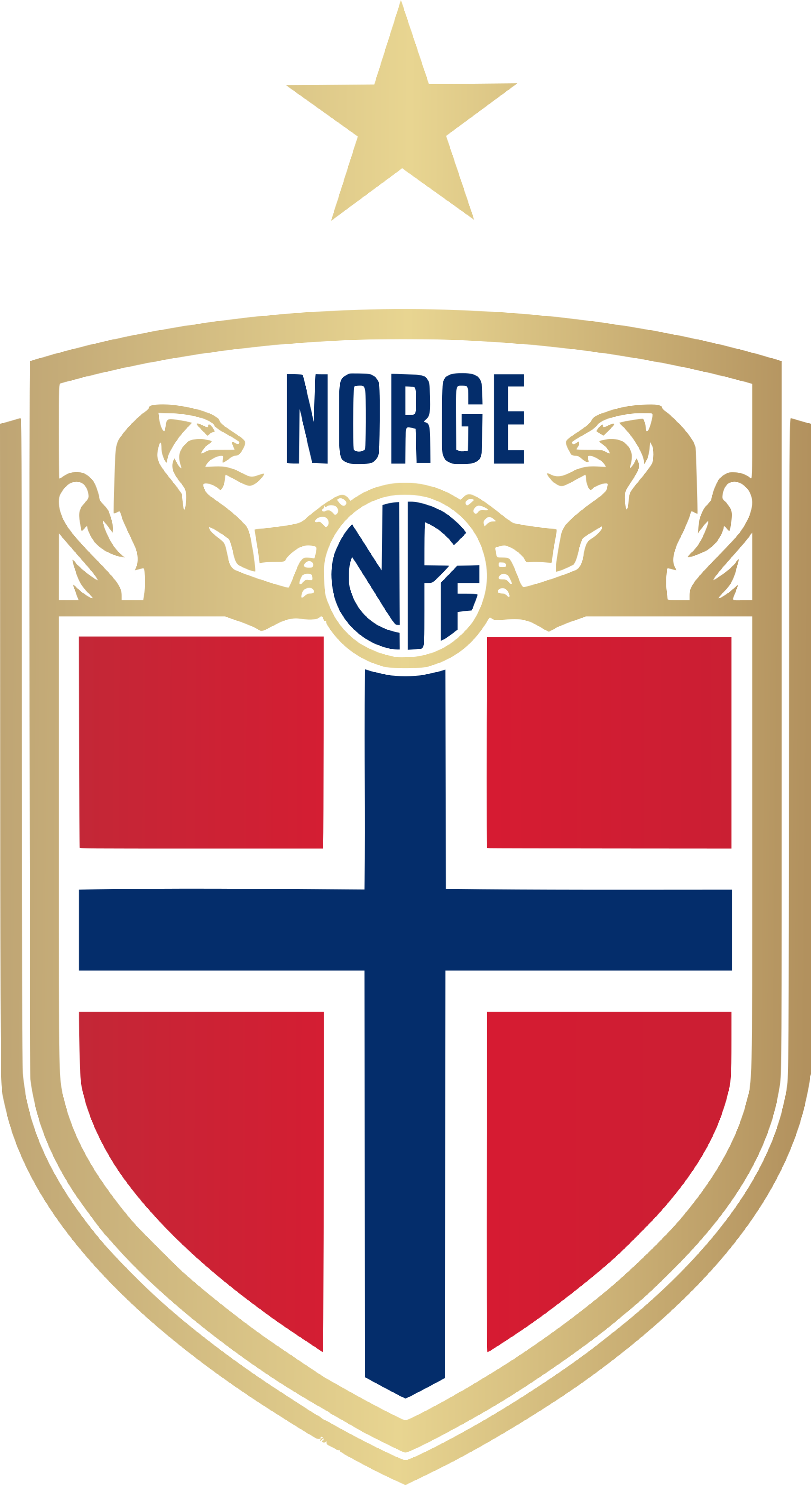 挪威足球队在困难中坚持拼搏成功晋级